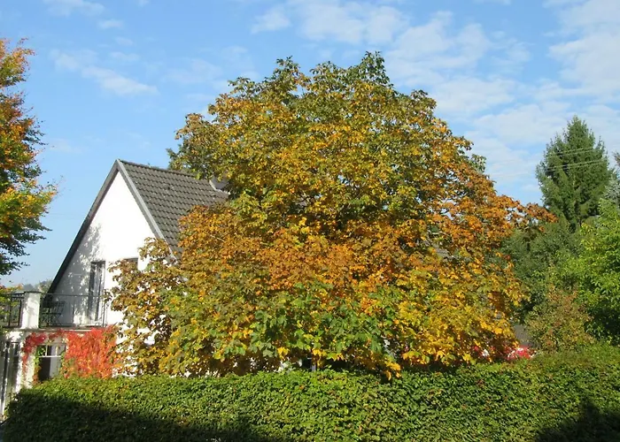 Eifel Gaestewohnung 아파트 블랑켄하임